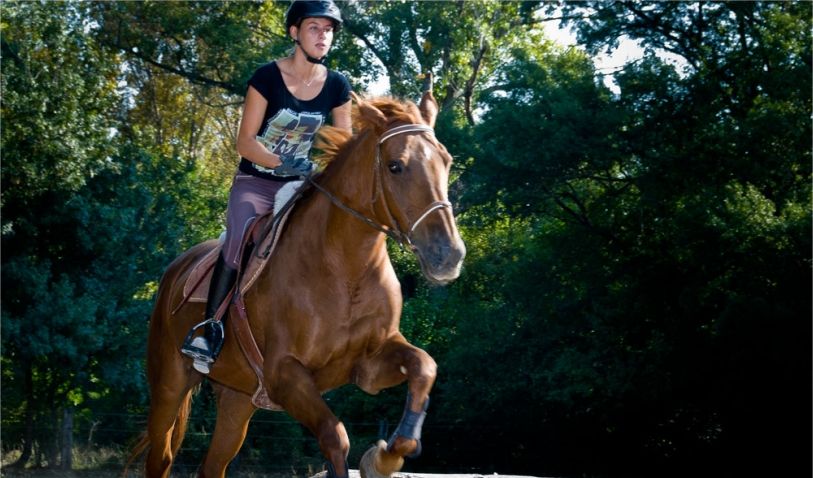 Club Hippique d'Aix Marseille horse riding, Aix-en-Provence