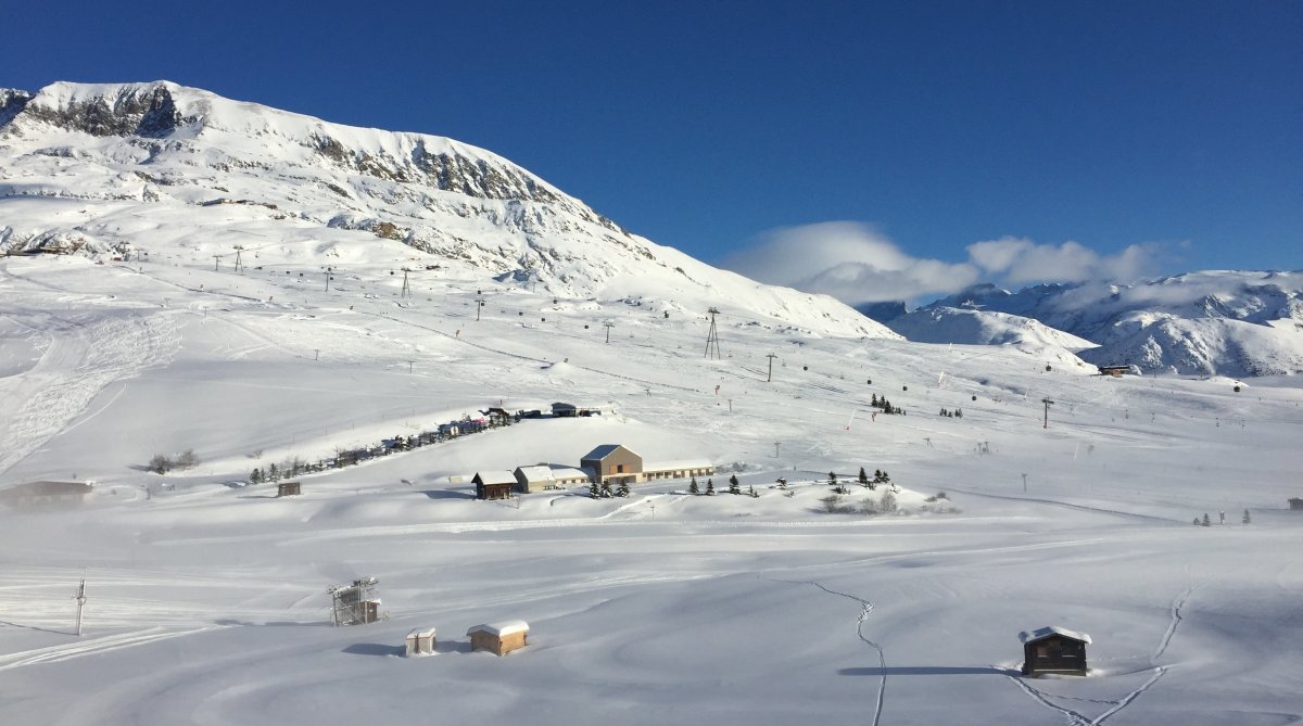 Fluffy, fresh snow on the Alpe d'Huez slopes