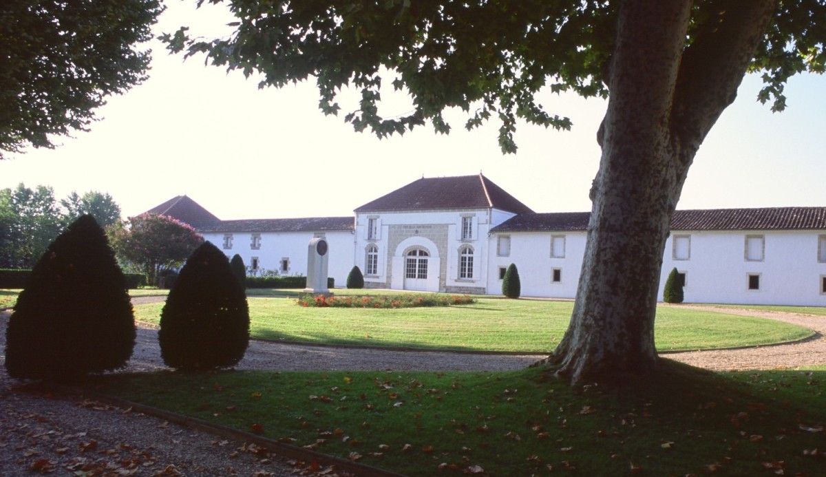 2001 Château La Tour Blanche / Sauternes 2001 Château La Tour Blanche Sauternes - CellarTracker