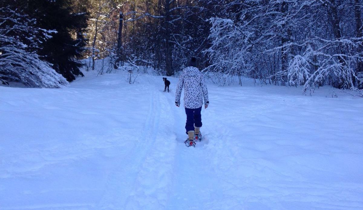 Snowshoeing In French