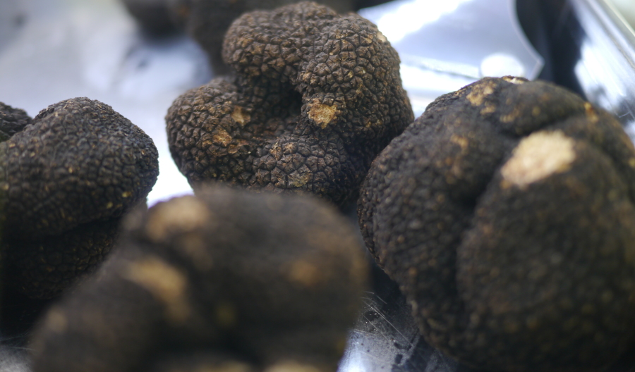 French Truffles from Provence
