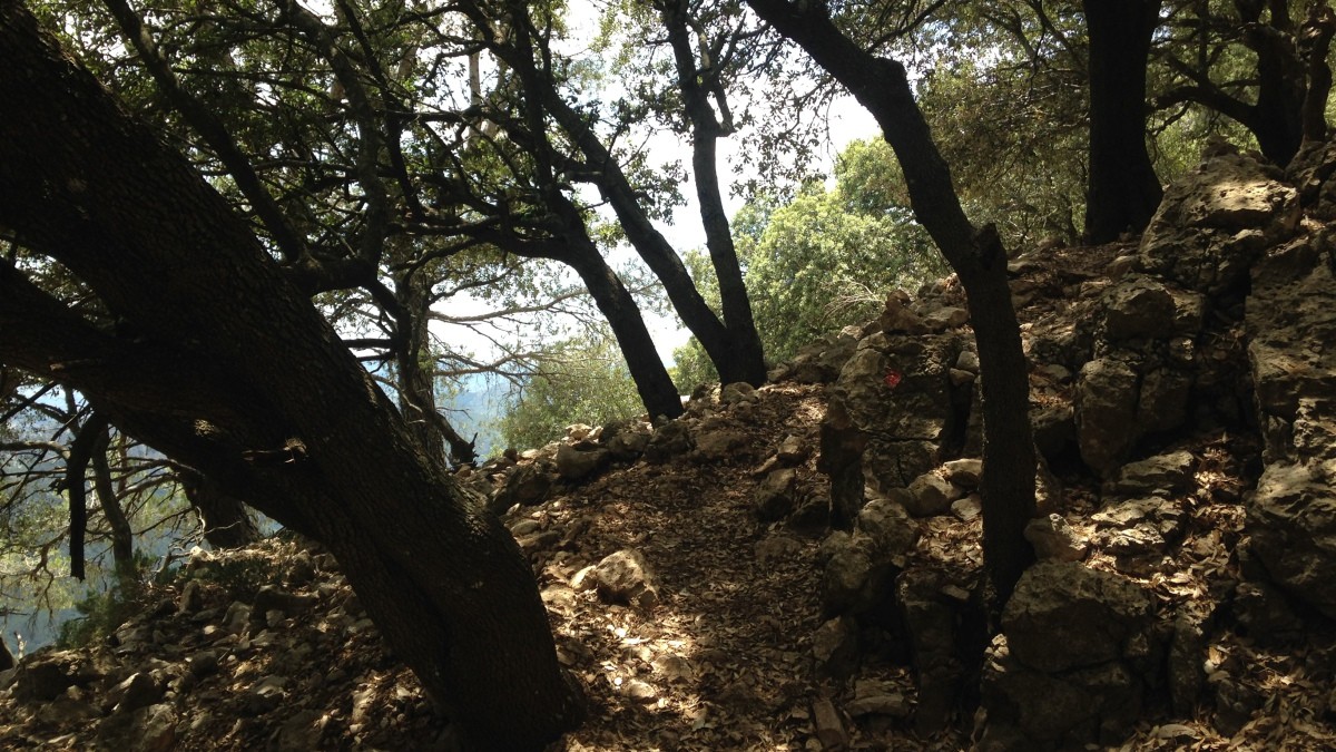 oneerlijk invoegen risico Hiking Mallorca's Highest Accessible Peak | SeeMallorca.com