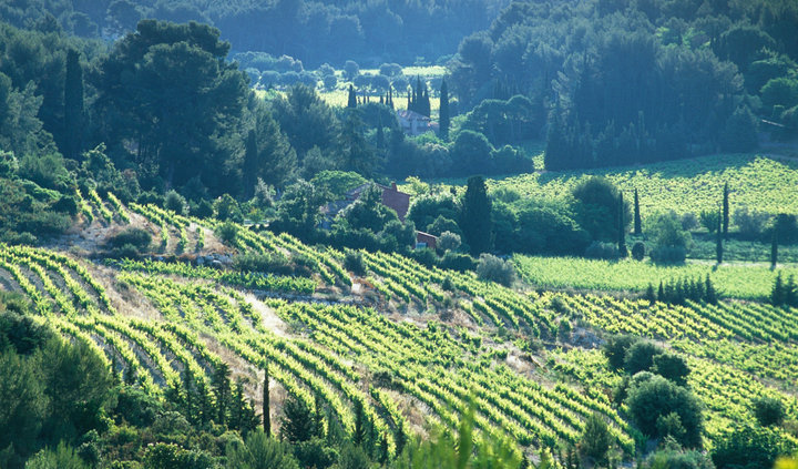 provence wine tours tripadvisor
