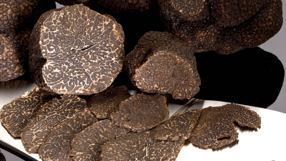 Black Truffle Festival, Aups