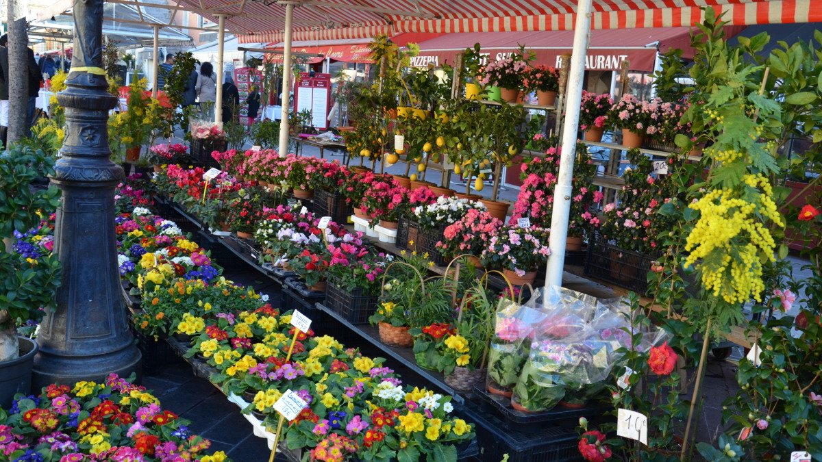 Avignon Flower Market | SeeProvence.com