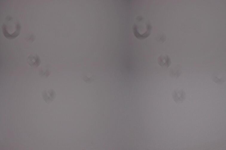 Birds-eye webcam view of conditions on the pistes above Courchevel 1650. The top station of the Ariondaz cable car is visible on the left-hand side of the shot.