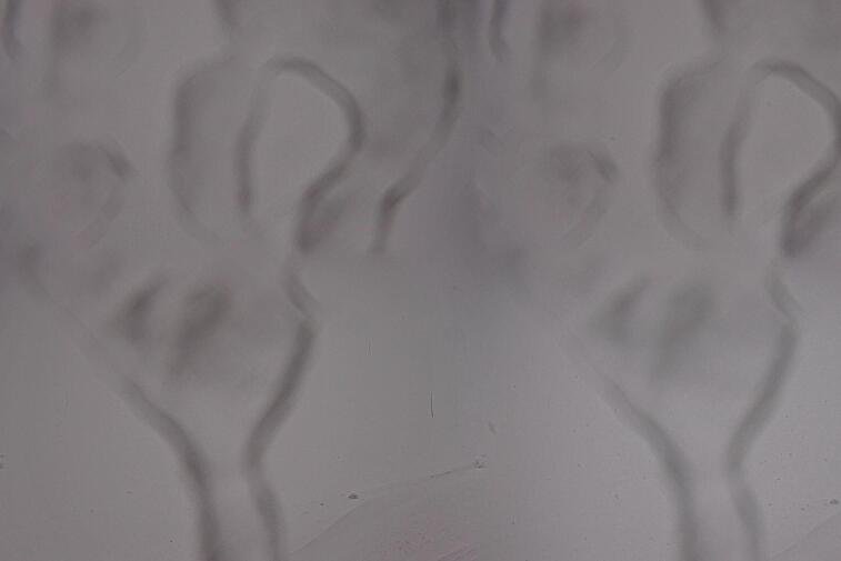 Birds-eye webcam view of conditions on the pistes above Courchevel 1650. The top station of the Ariondaz cable car is visible on the left-hand side of the shot.