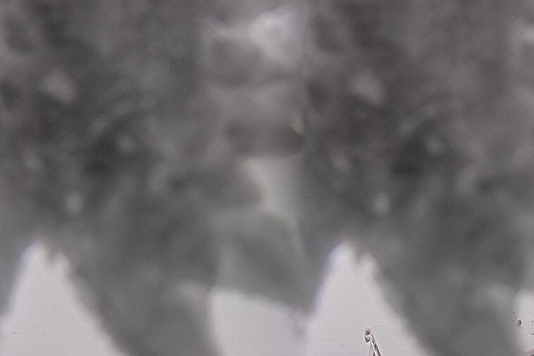 Birds-eye webcam view of conditions on the pistes above Courchevel 1650. The top station of the Ariondaz cable car is visible on the left-hand side of the shot.