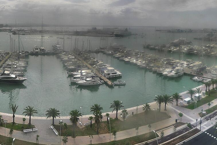 Webcam view of Palma de Mallorca marina, which caters to boats of all shapes and sizes. The cathedral La Seu can be seen in the distance. In the foreground is the Avinguda de Gabriel Roca.