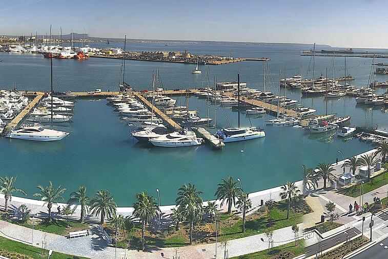 Webcam view of Palma de Mallorca marina, which caters to boats of all shapes and sizes. The cathedral La Seu can be seen in the distance. In the foreground is the Avinguda de Gabriel Roca.