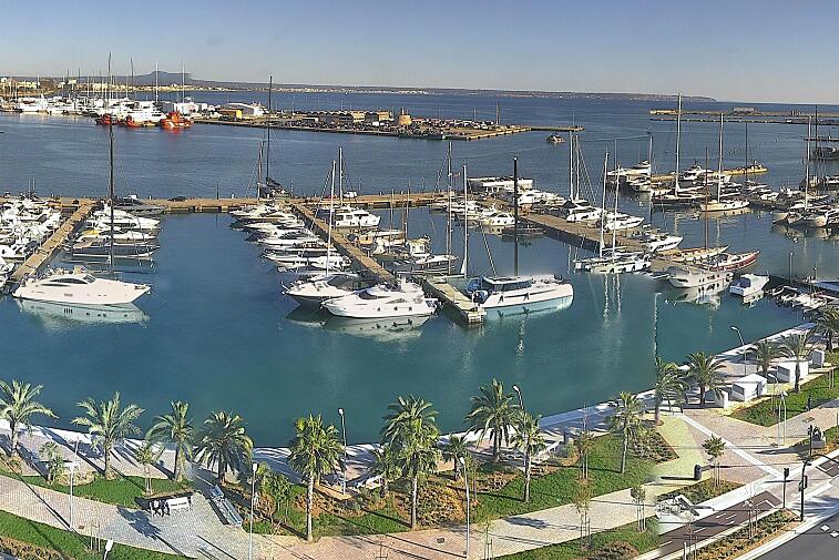 Webcam view of Palma de Mallorca marina, which caters to boats of all shapes and sizes. The cathedral La Seu can be seen in the distance. In the foreground is the Avinguda de Gabriel Roca.