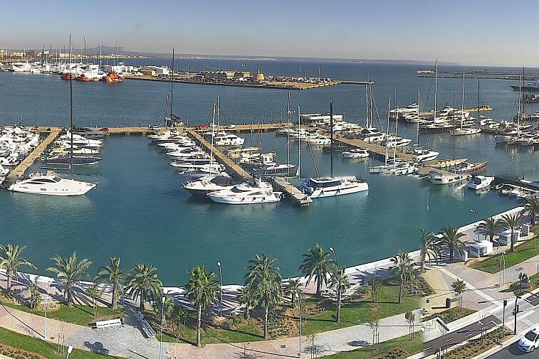 Webcam view of Palma de Mallorca marina, which caters to boats of all shapes and sizes. The cathedral La Seu can be seen in the distance. In the foreground is the Avinguda de Gabriel Roca.