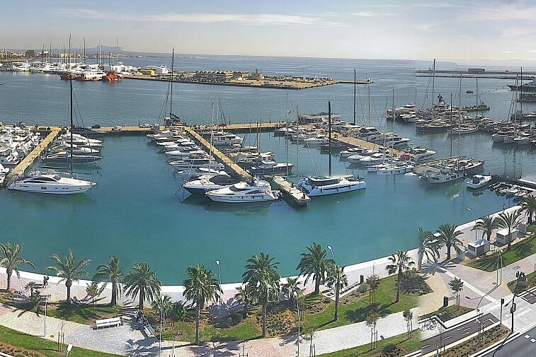 Webcam view of Palma de Mallorca marina, which caters to boats of all shapes and sizes. The cathedral La Seu can be seen in the distance. In the foreground is the Avinguda de Gabriel Roca.