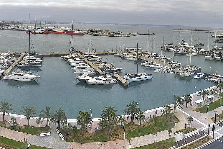 Webcam view of Palma de Mallorca marina, which caters to boats of all shapes and sizes. The cathedral La Seu can be seen in the distance. In the foreground is the Avinguda de Gabriel Roca.