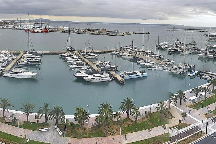 Webcam view of Palma de Mallorca marina, which caters to boats of all shapes and sizes. The cathedral La Seu can be seen in the distance. In the foreground is the Avinguda de Gabriel Roca.