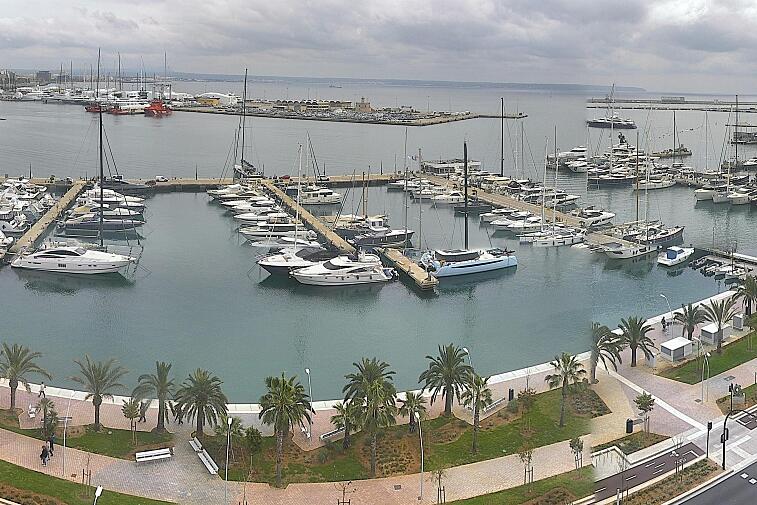 Webcam view of Palma de Mallorca marina, which caters to boats of all shapes and sizes. The cathedral La Seu can be seen in the distance. In the foreground is the Avinguda de Gabriel Roca.