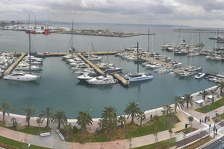 Webcam view of Palma de Mallorca marina, which caters to boats of all shapes and sizes. The cathedral La Seu can be seen in the distance. In the foreground is the Avinguda de Gabriel Roca.