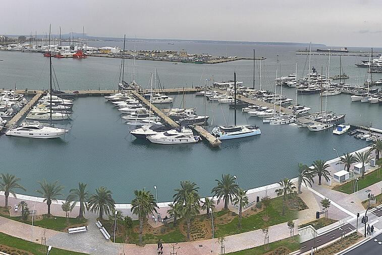 Webcam view of Palma de Mallorca marina, which caters to boats of all shapes and sizes. The cathedral La Seu can be seen in the distance. In the foreground is the Avinguda de Gabriel Roca.