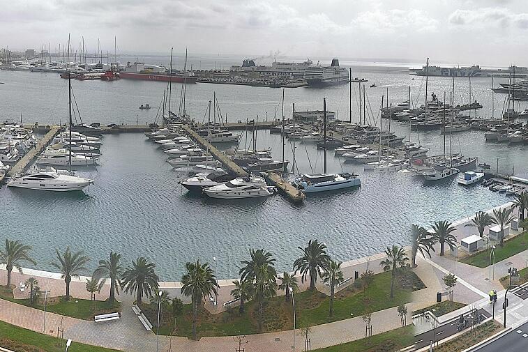 Webcam view of Palma de Mallorca marina, which caters to boats of all shapes and sizes. The cathedral La Seu can be seen in the distance. In the foreground is the Avinguda de Gabriel Roca.