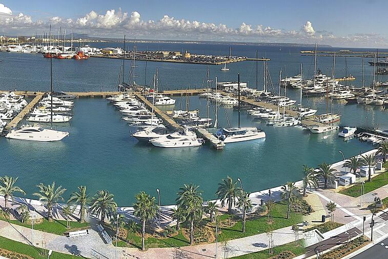 Webcam view of Palma de Mallorca marina, which caters to boats of all shapes and sizes. The cathedral La Seu can be seen in the distance. In the foreground is the Avinguda de Gabriel Roca.