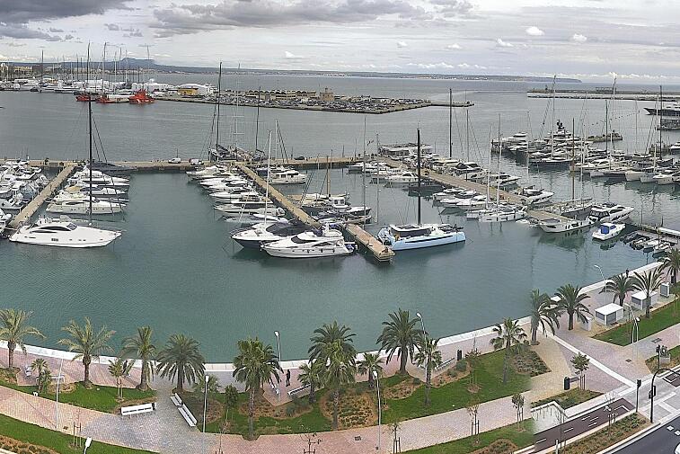 Webcam view of Palma de Mallorca marina, which caters to boats of all shapes and sizes. The cathedral La Seu can be seen in the distance. In the foreground is the Avinguda de Gabriel Roca.
