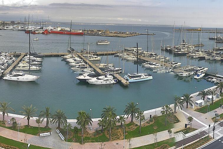Webcam view of Palma de Mallorca marina, which caters to boats of all shapes and sizes. The cathedral La Seu can be seen in the distance. In the foreground is the Avinguda de Gabriel Roca.