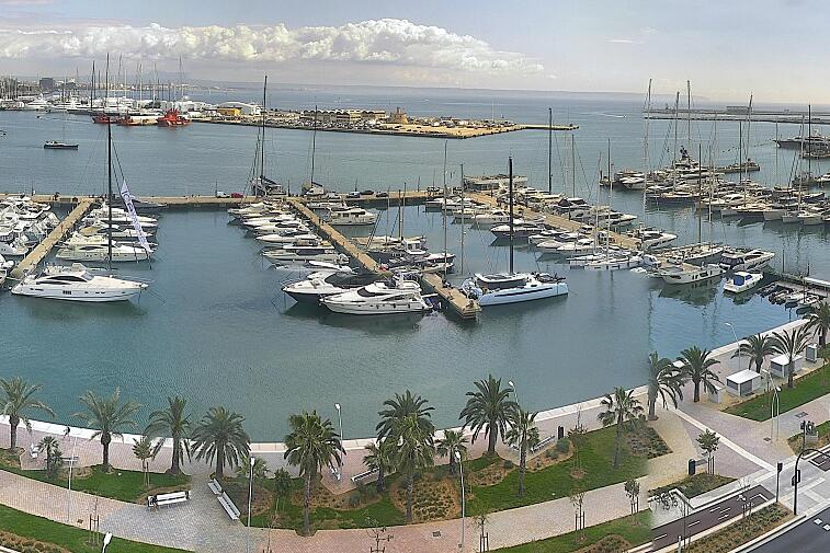 Webcam view of Palma de Mallorca marina, which caters to boats of all shapes and sizes. The cathedral La Seu can be seen in the distance. In the foreground is the Avinguda de Gabriel Roca.