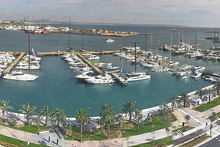 Webcam view of Palma de Mallorca marina, which caters to boats of all shapes and sizes. The cathedral La Seu can be seen in the distance. In the foreground is the Avinguda de Gabriel Roca.