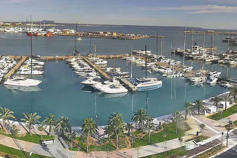 Webcam view of Palma de Mallorca marina, which caters to boats of all shapes and sizes. The cathedral La Seu can be seen in the distance. In the foreground is the Avinguda de Gabriel Roca.