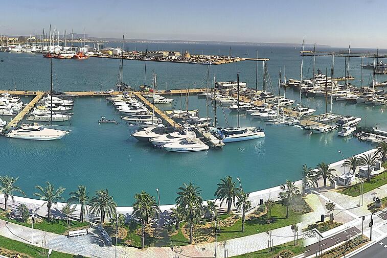 Webcam view of Palma de Mallorca marina, which caters to boats of all shapes and sizes. The cathedral La Seu can be seen in the distance. In the foreground is the Avinguda de Gabriel Roca.