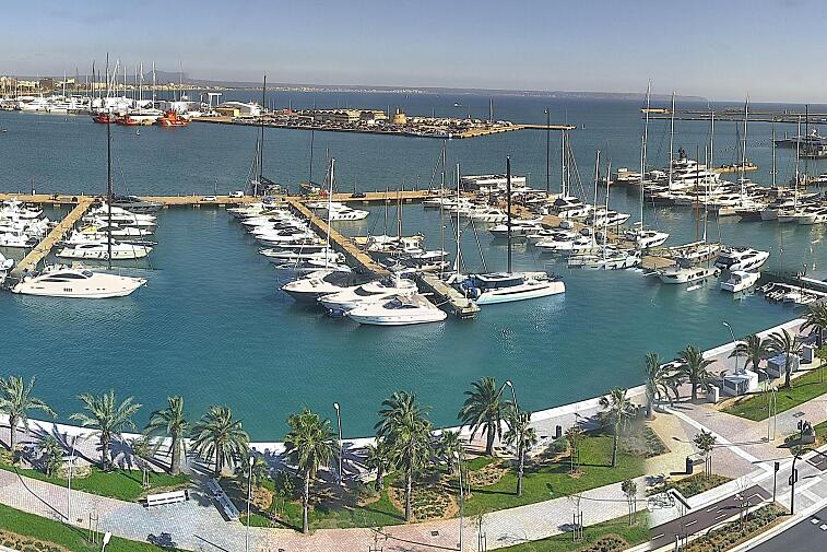 Webcam view of Palma de Mallorca marina, which caters to boats of all shapes and sizes. The cathedral La Seu can be seen in the distance. In the foreground is the Avinguda de Gabriel Roca.