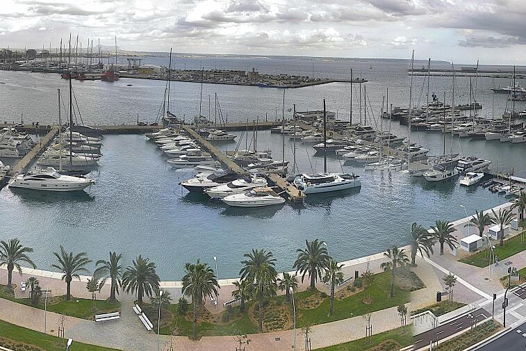 Webcam view of Palma de Mallorca marina, which caters to boats of all shapes and sizes. The cathedral La Seu can be seen in the distance. In the foreground is the Avinguda de Gabriel Roca.