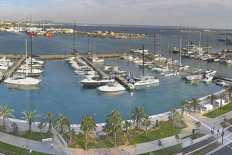 Webcam view of Palma de Mallorca marina, which caters to boats of all shapes and sizes. The cathedral La Seu can be seen in the distance. In the foreground is the Avinguda de Gabriel Roca.