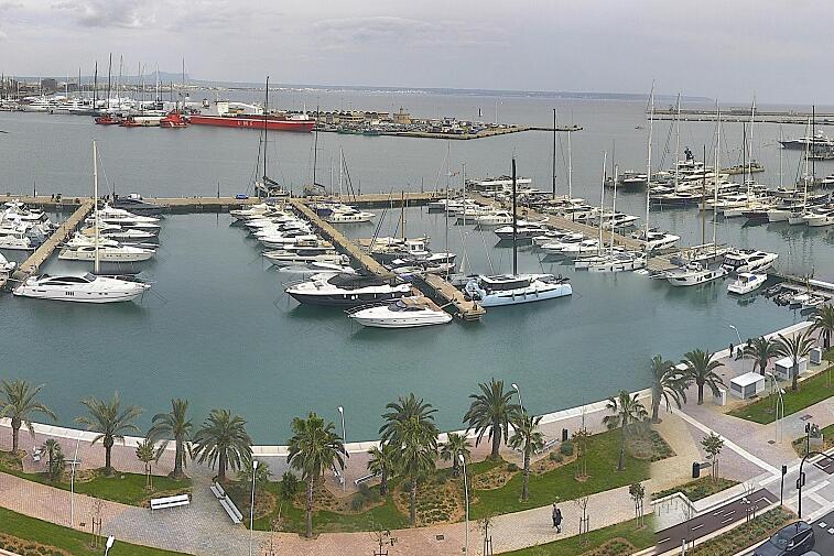 Webcam view of Palma de Mallorca marina, which caters to boats of all shapes and sizes. The cathedral La Seu can be seen in the distance. In the foreground is the Avinguda de Gabriel Roca.