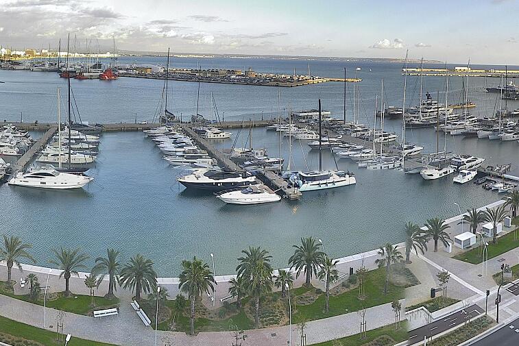 Webcam view of Palma de Mallorca marina, which caters to boats of all shapes and sizes. The cathedral La Seu can be seen in the distance. In the foreground is the Avinguda de Gabriel Roca.