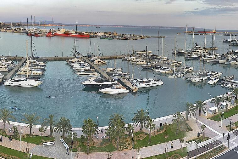 Webcam view of Palma de Mallorca marina, which caters to boats of all shapes and sizes. The cathedral La Seu can be seen in the distance. In the foreground is the Avinguda de Gabriel Roca.