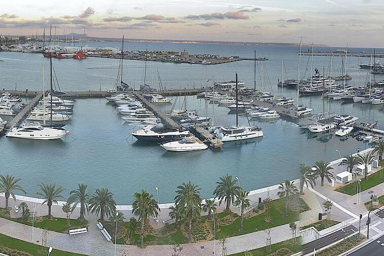 Webcam view of Palma de Mallorca marina, which caters to boats of all shapes and sizes. The cathedral La Seu can be seen in the distance. In the foreground is the Avinguda de Gabriel Roca.