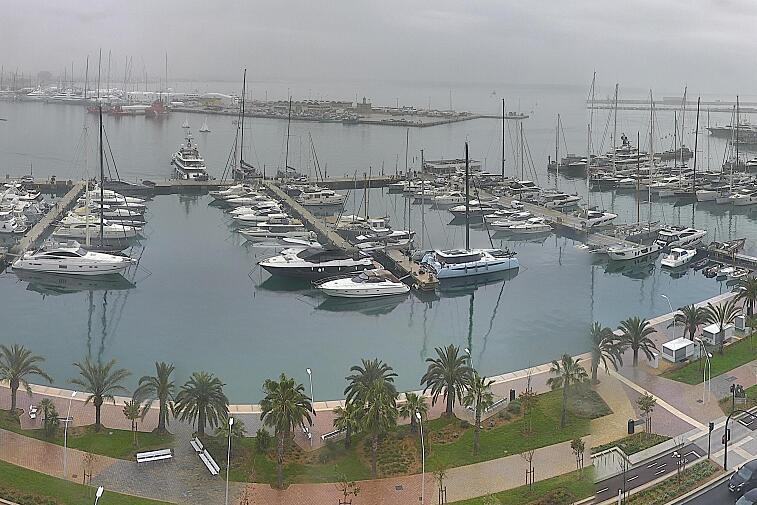 Webcam view of Palma de Mallorca marina, which caters to boats of all shapes and sizes. The cathedral La Seu can be seen in the distance. In the foreground is the Avinguda de Gabriel Roca.