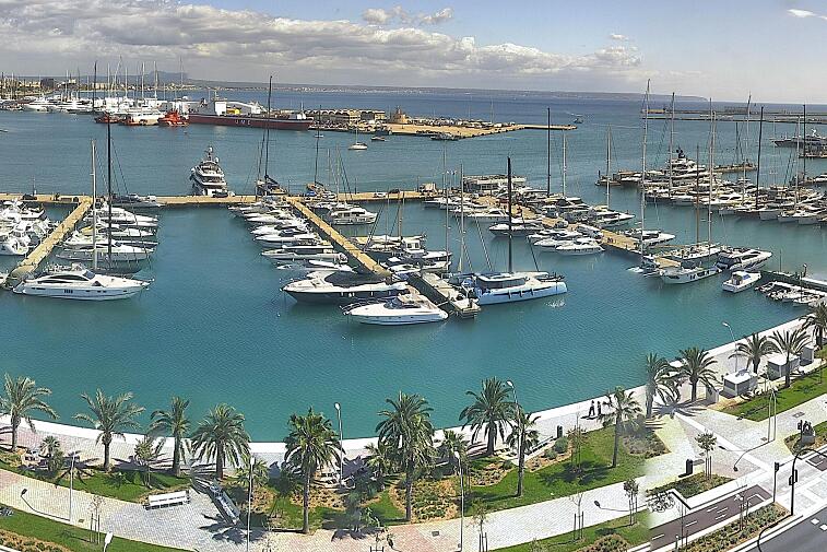 Webcam view of Palma de Mallorca marina, which caters to boats of all shapes and sizes. The cathedral La Seu can be seen in the distance. In the foreground is the Avinguda de Gabriel Roca.