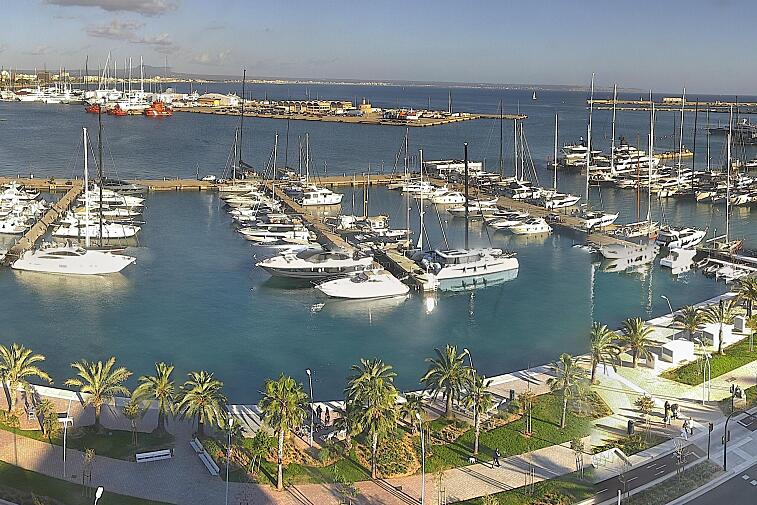 Webcam view of Palma de Mallorca marina, which caters to boats of all shapes and sizes. The cathedral La Seu can be seen in the distance. In the foreground is the Avinguda de Gabriel Roca.