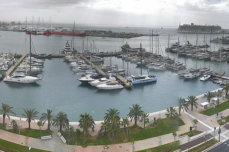 Webcam view of Palma de Mallorca marina, which caters to boats of all shapes and sizes. The cathedral La Seu can be seen in the distance. In the foreground is the Avinguda de Gabriel Roca.