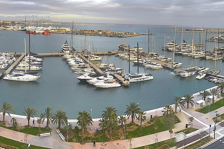 Webcam view of Palma de Mallorca marina, which caters to boats of all shapes and sizes. The cathedral La Seu can be seen in the distance. In the foreground is the Avinguda de Gabriel Roca.