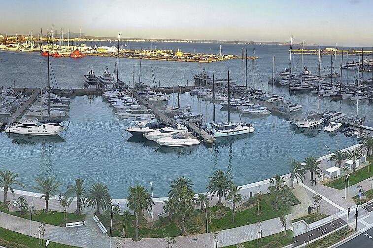 Webcam view of Palma de Mallorca marina, which caters to boats of all shapes and sizes. The cathedral La Seu can be seen in the distance. In the foreground is the Avinguda de Gabriel Roca.