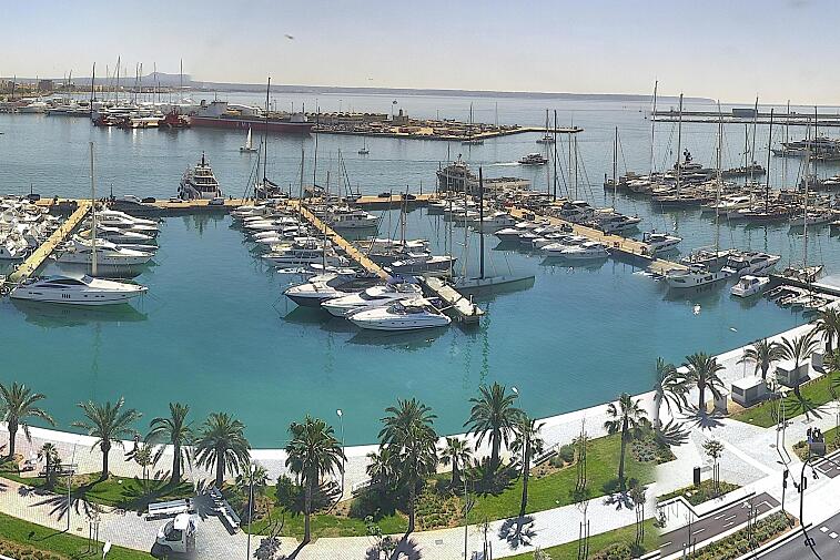Webcam view of Palma de Mallorca marina, which caters to boats of all shapes and sizes. The cathedral La Seu can be seen in the distance. In the foreground is the Avinguda de Gabriel Roca.