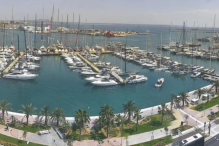 Webcam view of Palma de Mallorca marina, which caters to boats of all shapes and sizes. The cathedral La Seu can be seen in the distance. In the foreground is the Avinguda de Gabriel Roca.