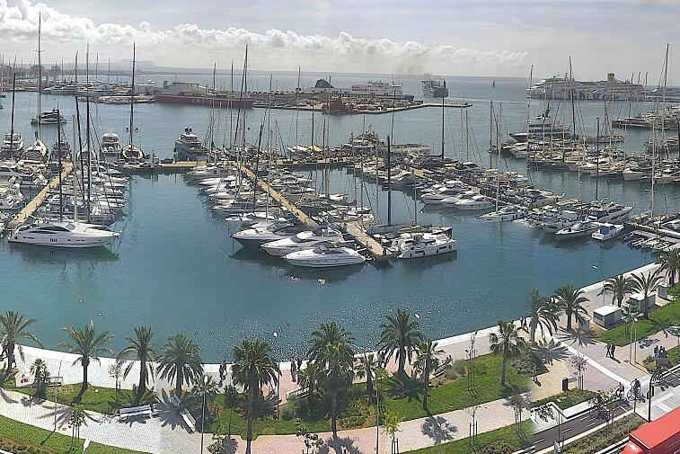 Webcam view of Palma de Mallorca marina, which caters to boats of all shapes and sizes. The cathedral La Seu can be seen in the distance. In the foreground is the Avinguda de Gabriel Roca.