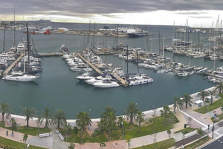 Webcam view of Palma de Mallorca marina, which caters to boats of all shapes and sizes. The cathedral La Seu can be seen in the distance. In the foreground is the Avinguda de Gabriel Roca.