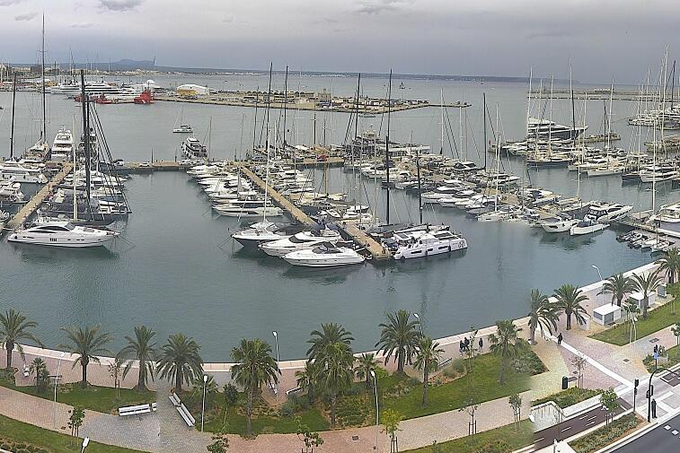 Webcam view of Palma de Mallorca marina, which caters to boats of all shapes and sizes. The cathedral La Seu can be seen in the distance. In the foreground is the Avinguda de Gabriel Roca.