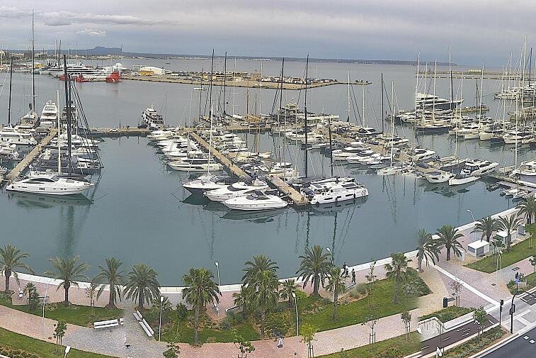 Webcam view of Palma de Mallorca marina, which caters to boats of all shapes and sizes. The cathedral La Seu can be seen in the distance. In the foreground is the Avinguda de Gabriel Roca.