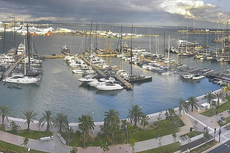 Webcam view of Palma de Mallorca marina, which caters to boats of all shapes and sizes. The cathedral La Seu can be seen in the distance. In the foreground is the Avinguda de Gabriel Roca.